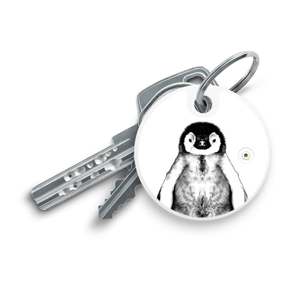 Bluetooth Key Finder