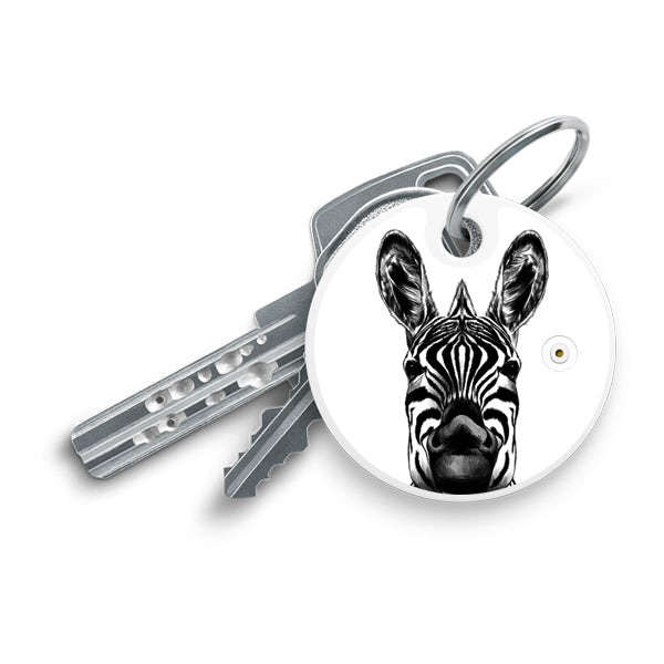 Bluetooth Key Finder